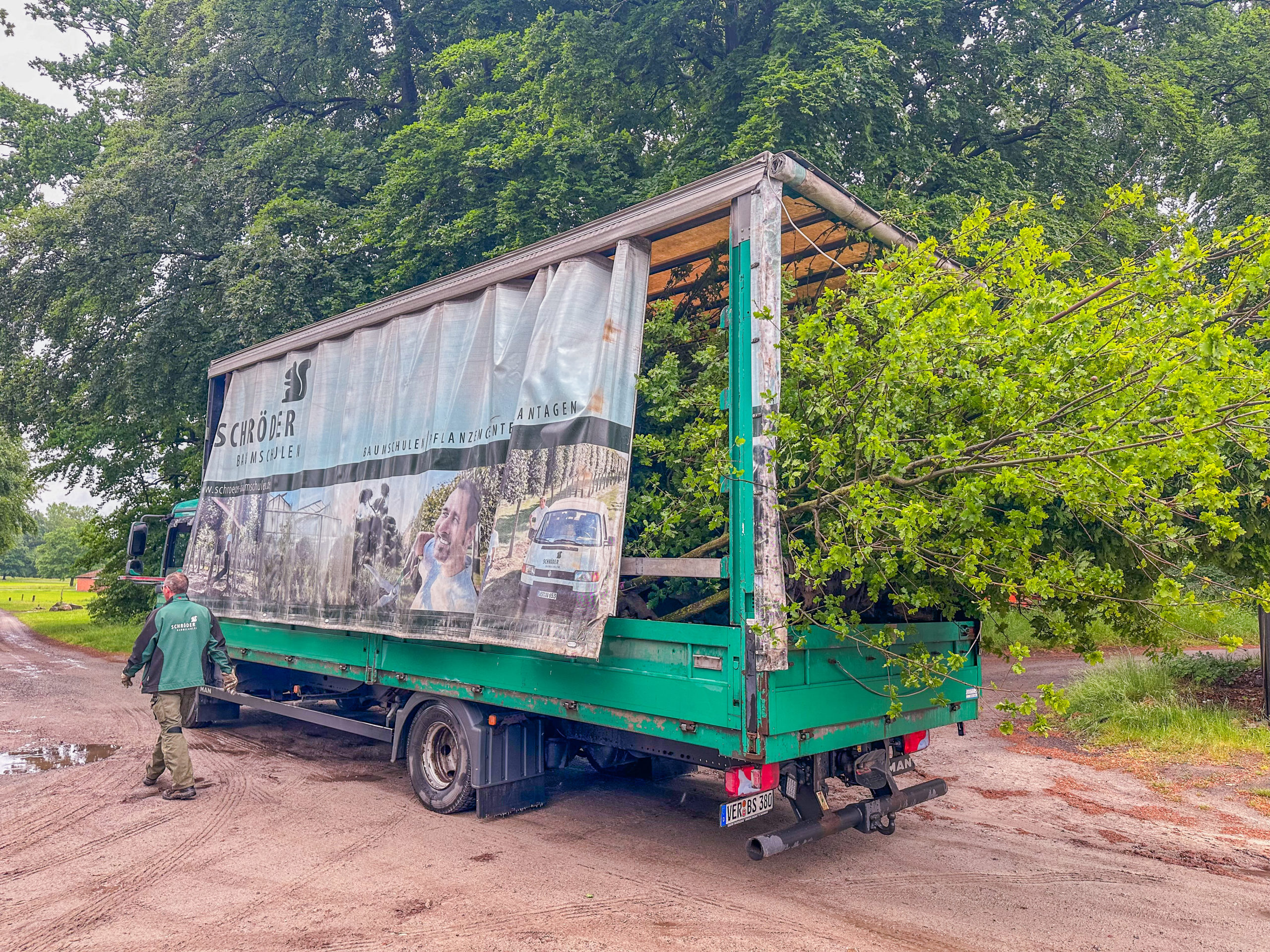 Baumspende von Schröder Baumschulen